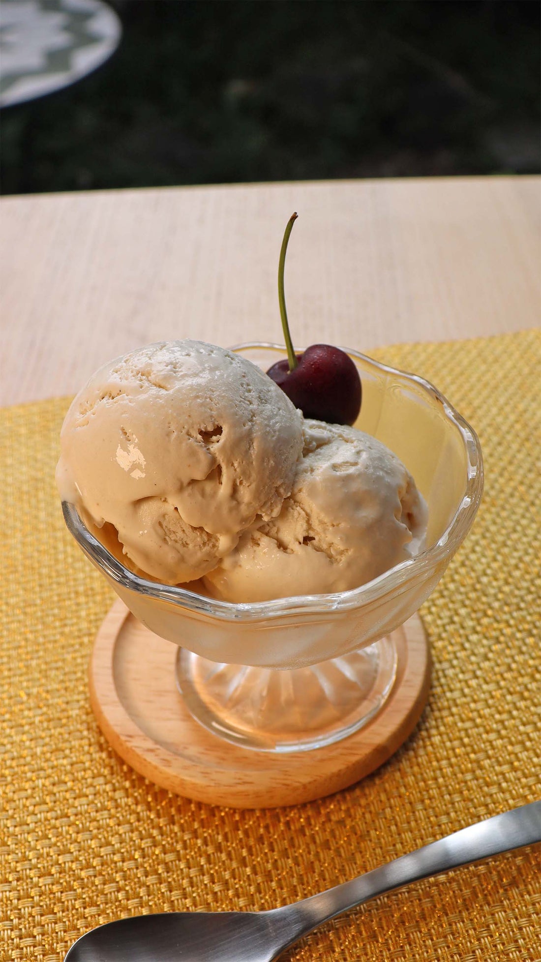 Soy Milk Vanilla Ice Cream | Vegan & Dairy-Free Frozen Treat