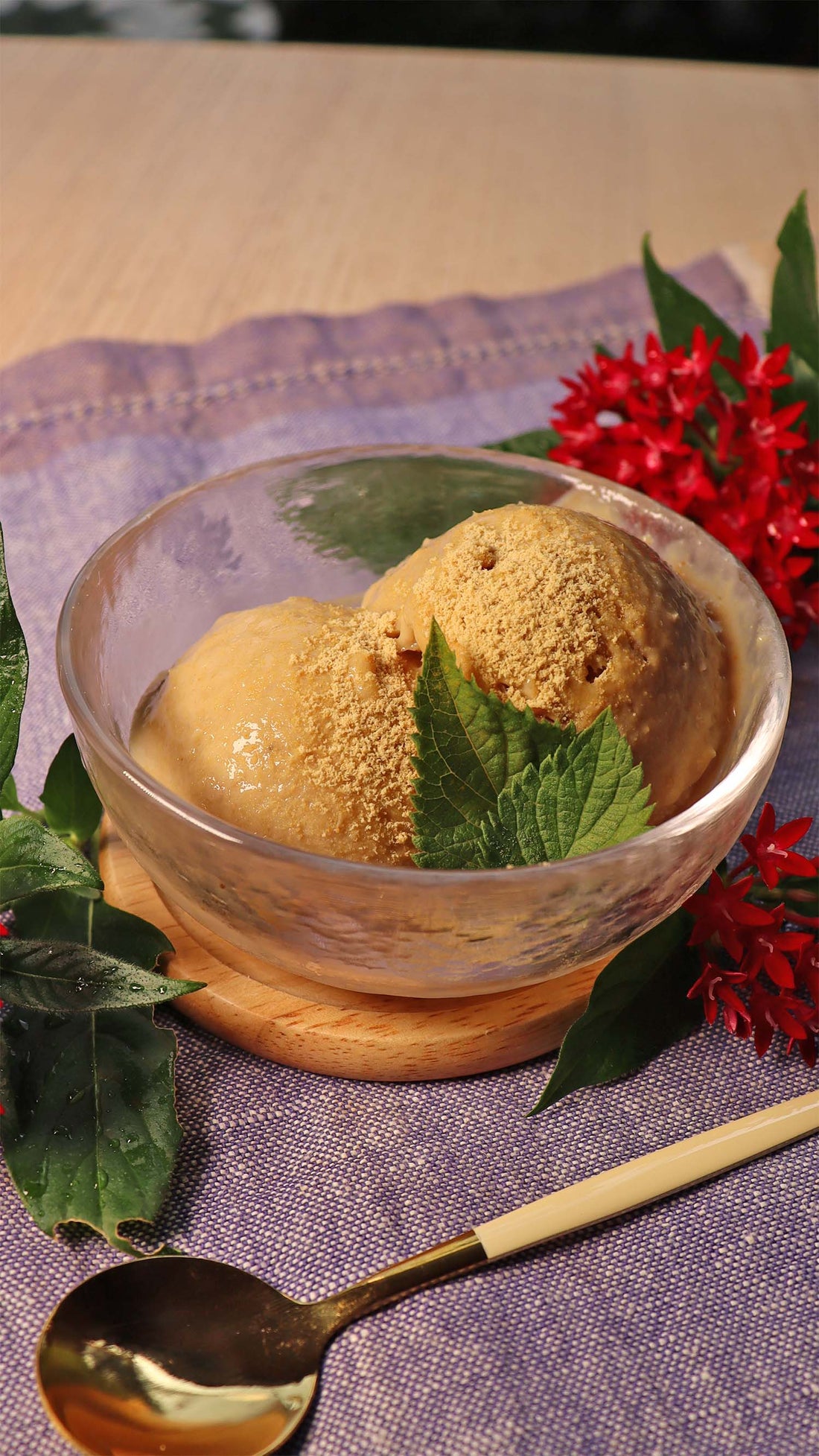 Amazake & Kinako Ice Cream (Japanese Superfoods) | Easy Vegan Dessert